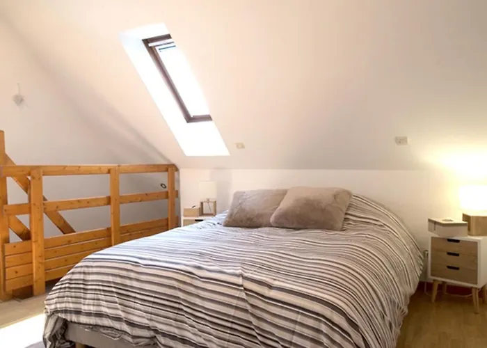 Apartament Travel Homes - Tanneur 7, Just Next To Little Venice Colmar